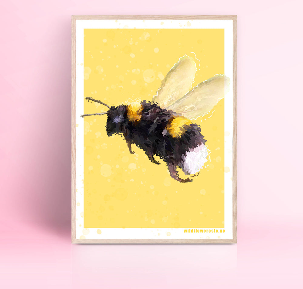 Plakat 30 x 40 Bie