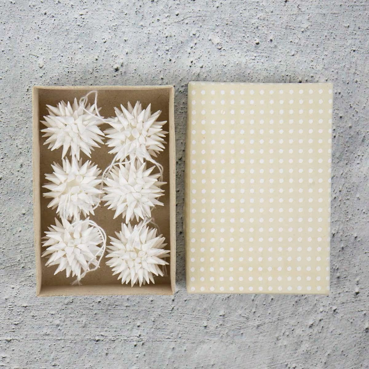 Julestjerner hvite 6 pk.