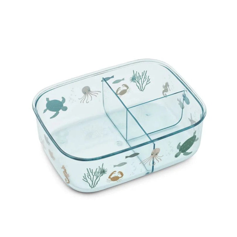 Arthur Tritan Box Sea Creature