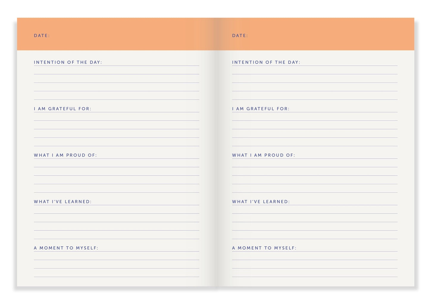 Daily Journal
