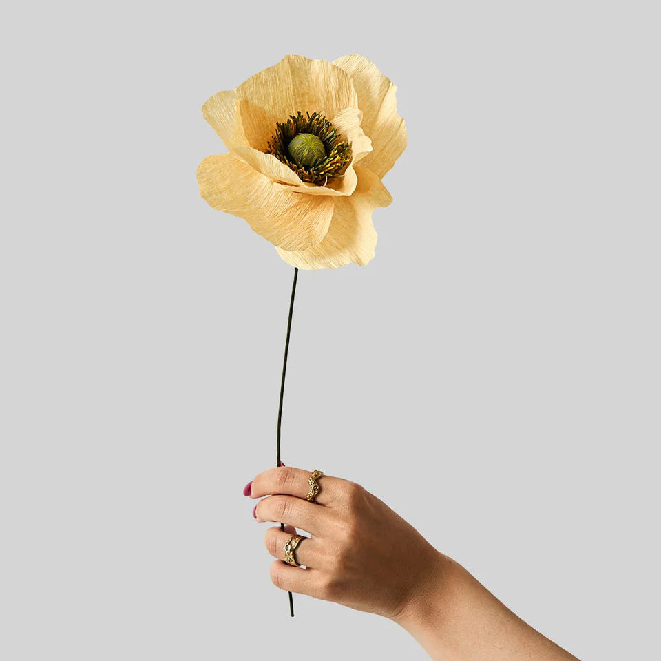 Paper Flower Soft Peach