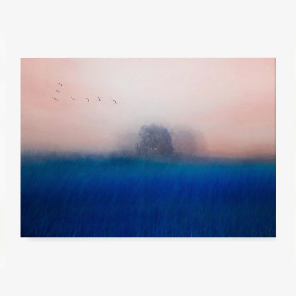 Misty Blue Field Birds 50x70
