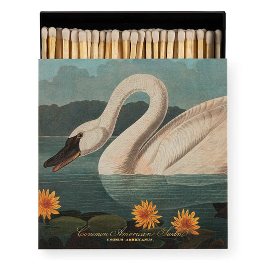 Fyrstikker Common American Swan