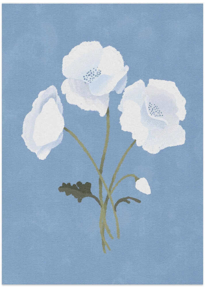 White on Blue