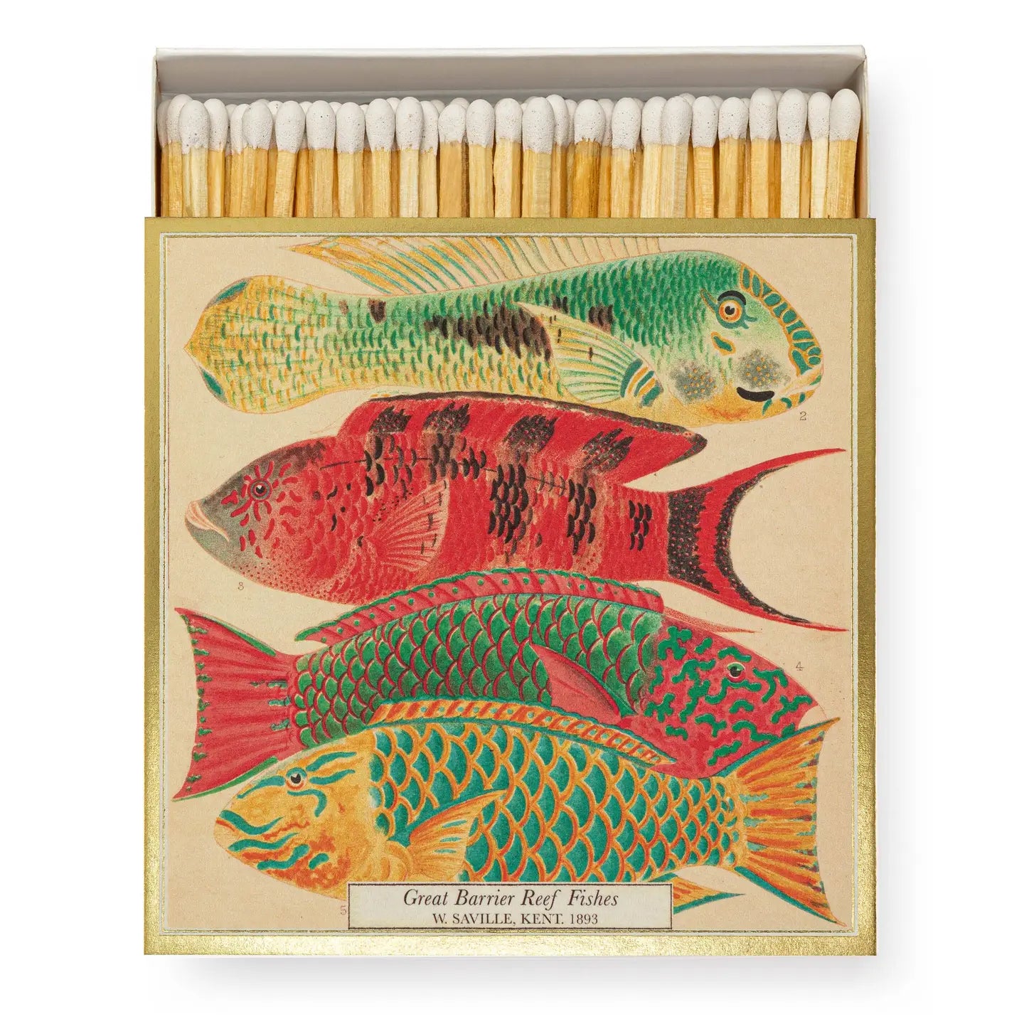 Fyrstikker Fish