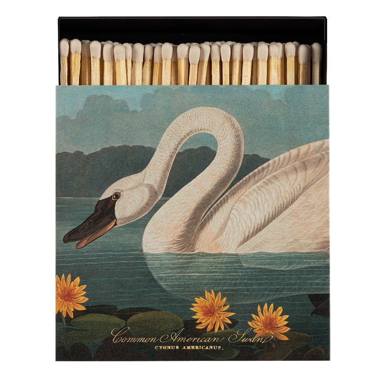 Fyrstikker Common American Swan