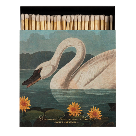 Fyrstikker Common American Swan