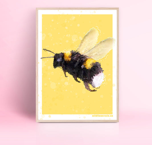 Plakat 30 x 40 Bie