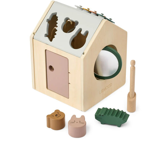 Lucas Activity Cube