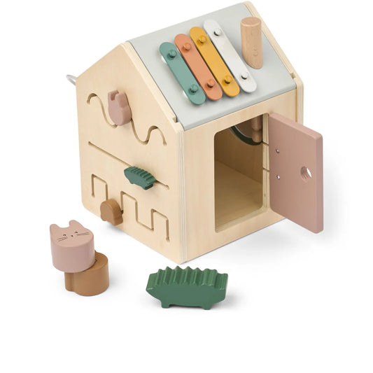 Lucas Activity Cube