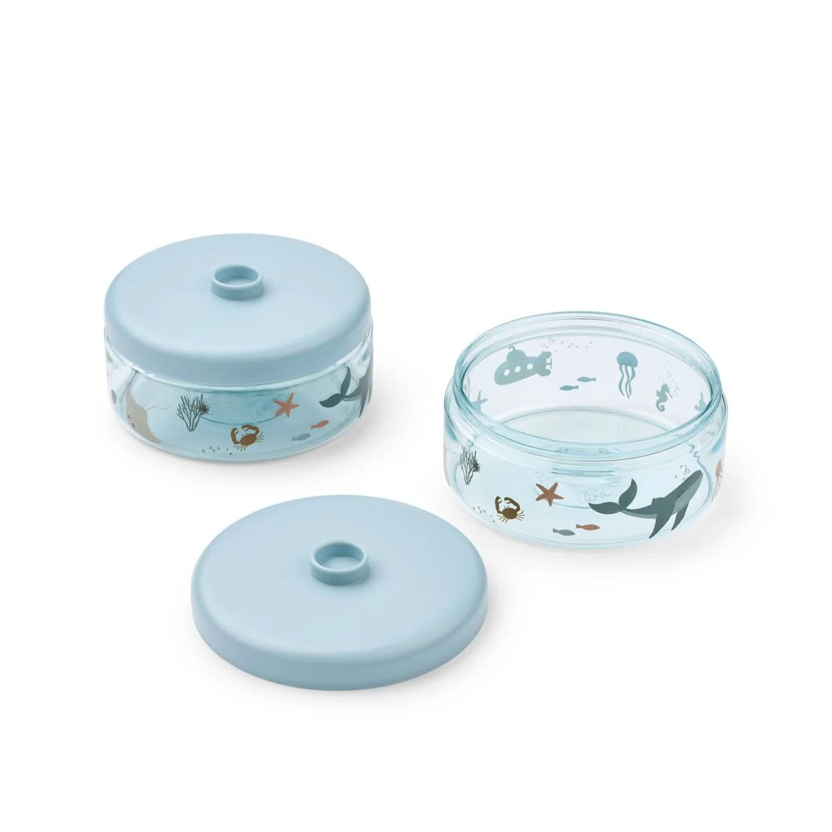 Dominique Tritan Boxes Sea Creature