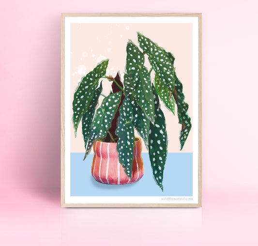 Plakat 30 x 40 #0106