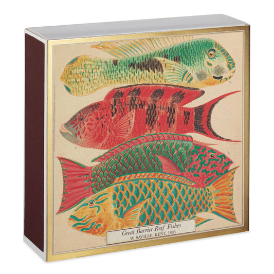 Fyrstikker Fish