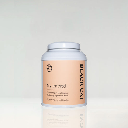 Pyramideposer Ny Energi